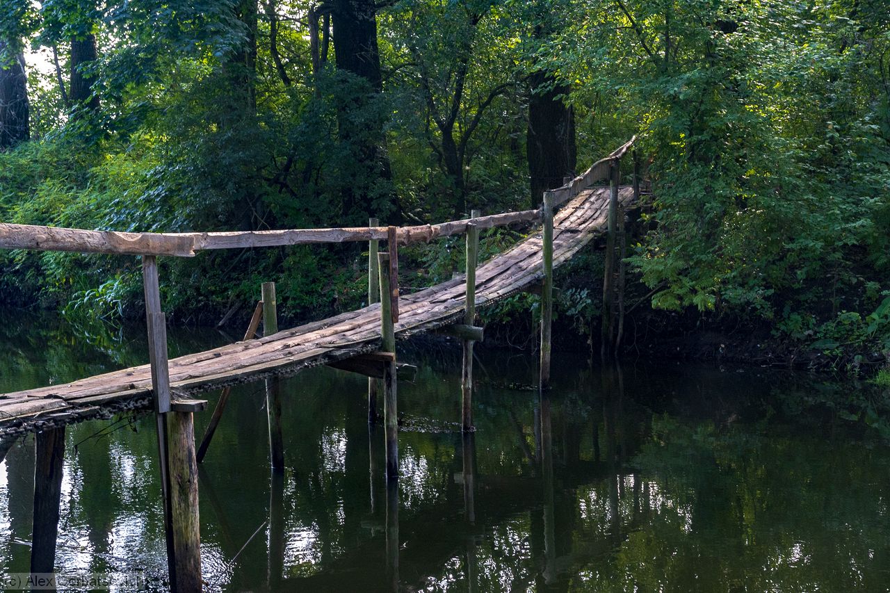 ���� �������������