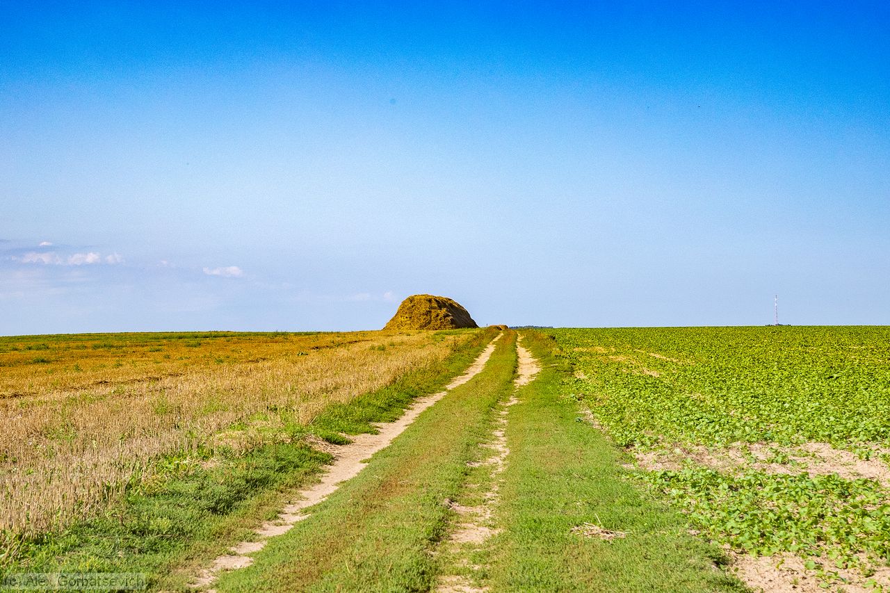 ������ � ����