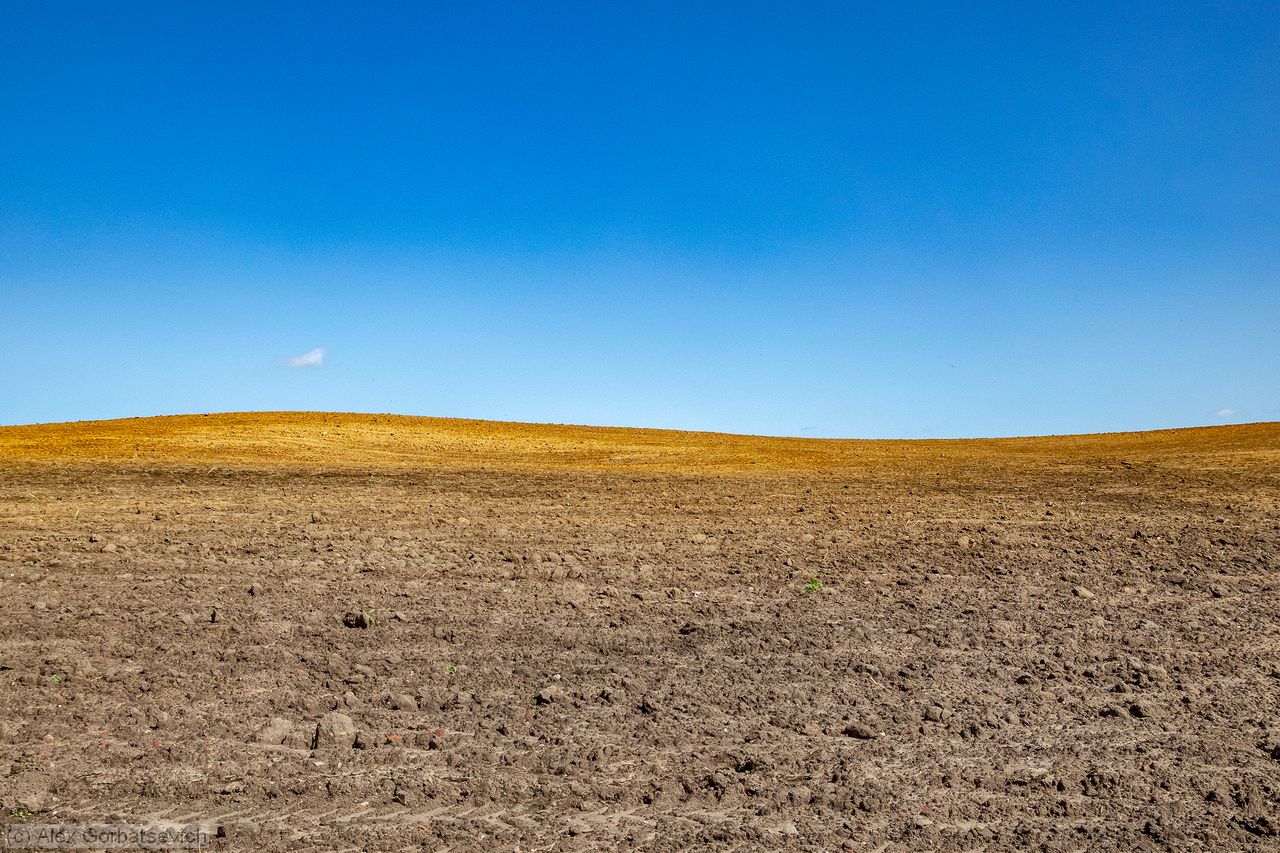 windows XP
