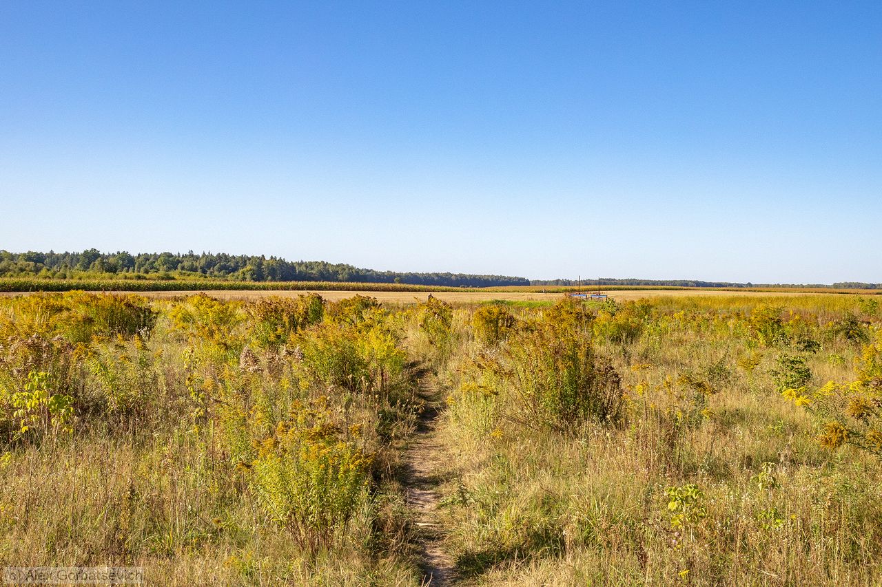 ������� ������