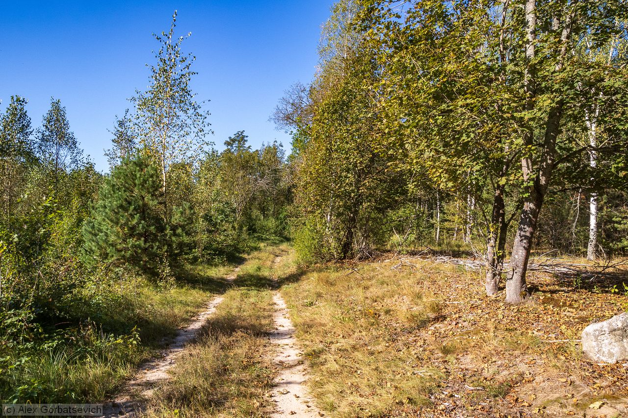 ������ �������