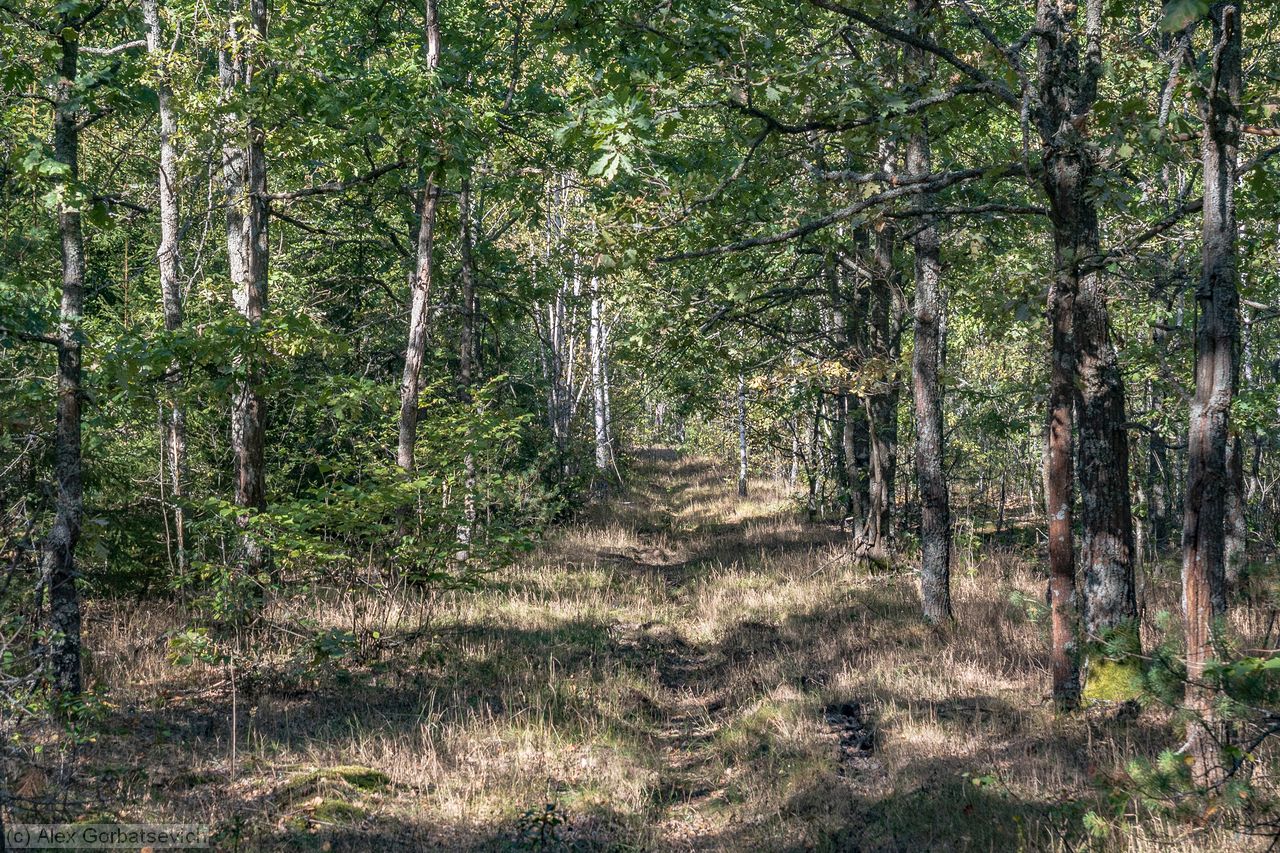 ������� � ������� ����