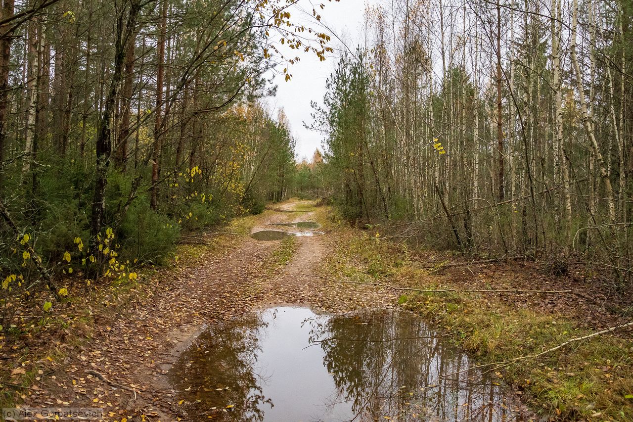 ������ ������