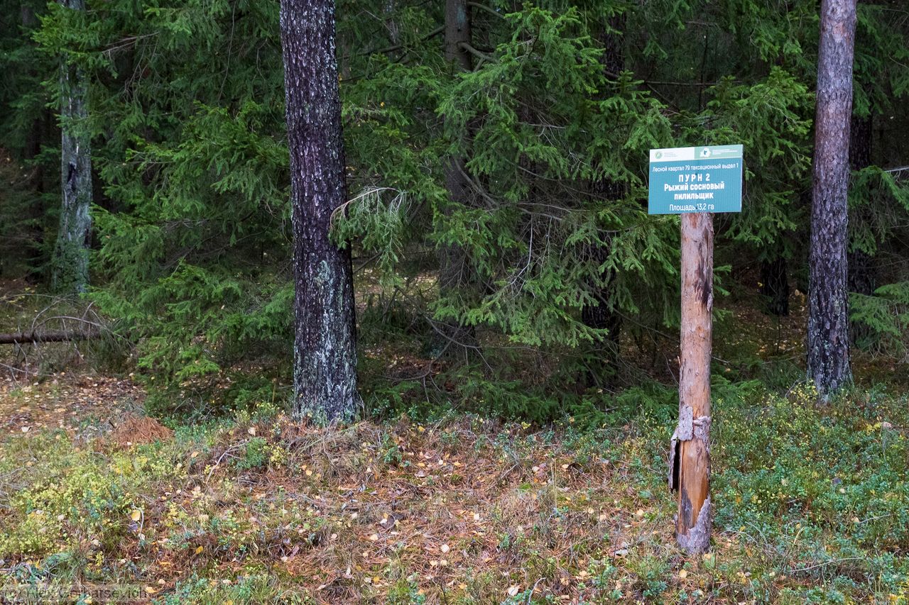 ��� ������� ����� �������� ���������.