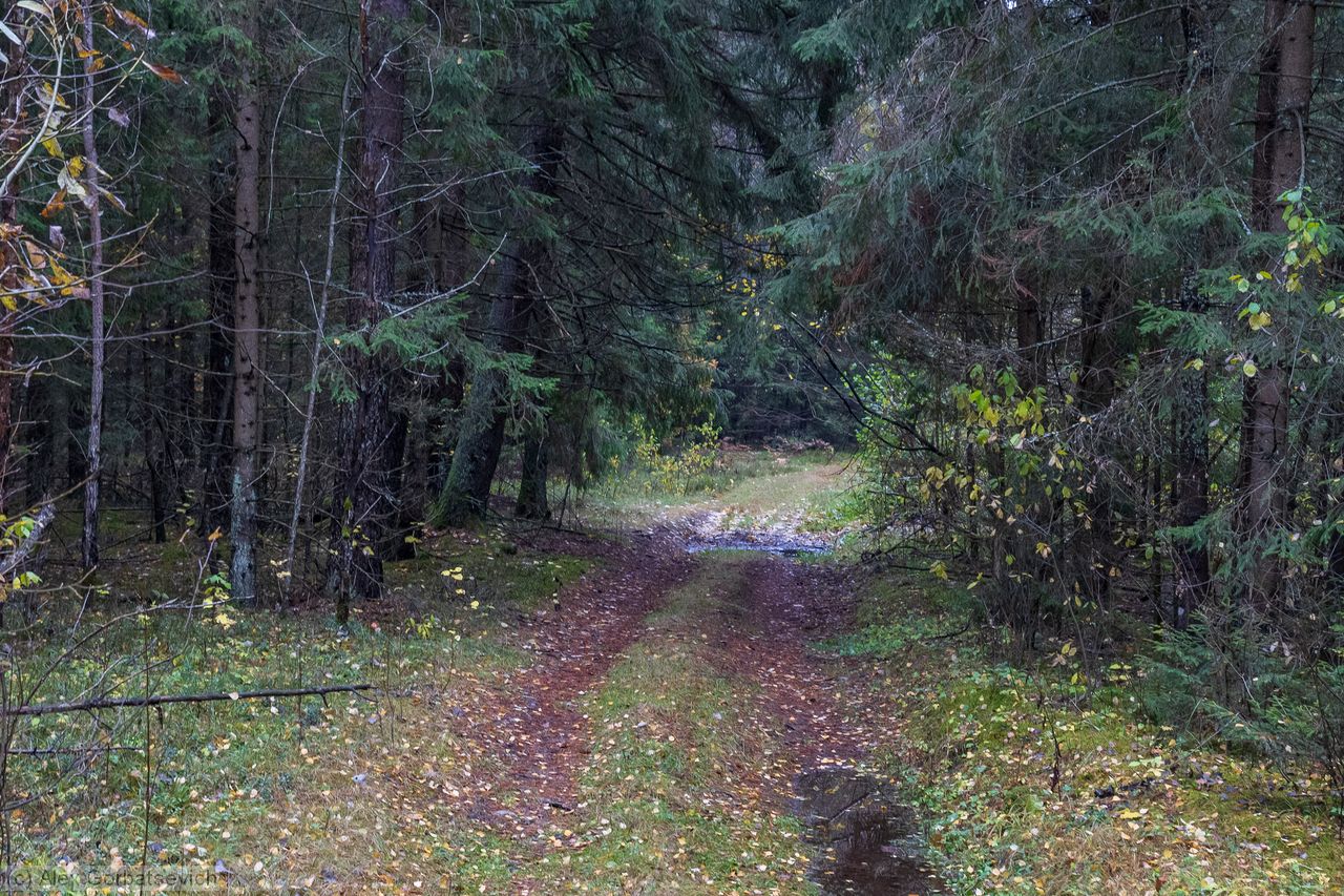 ������� ���