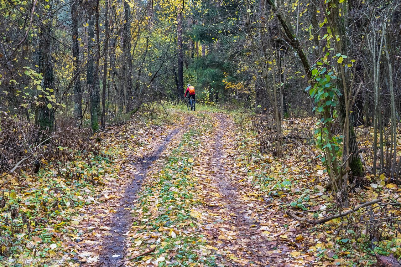 �� ������� ������