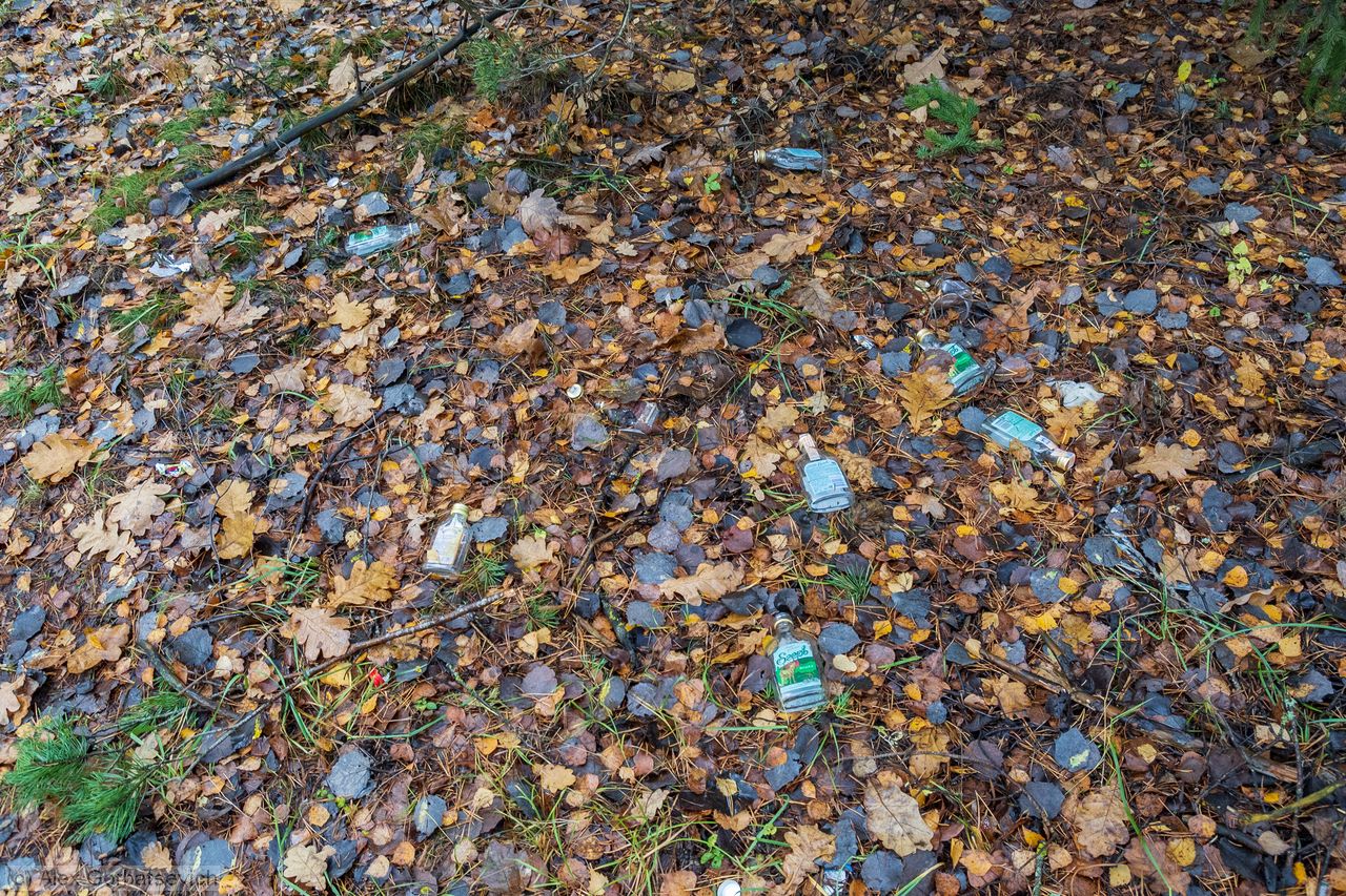 ������ ��������