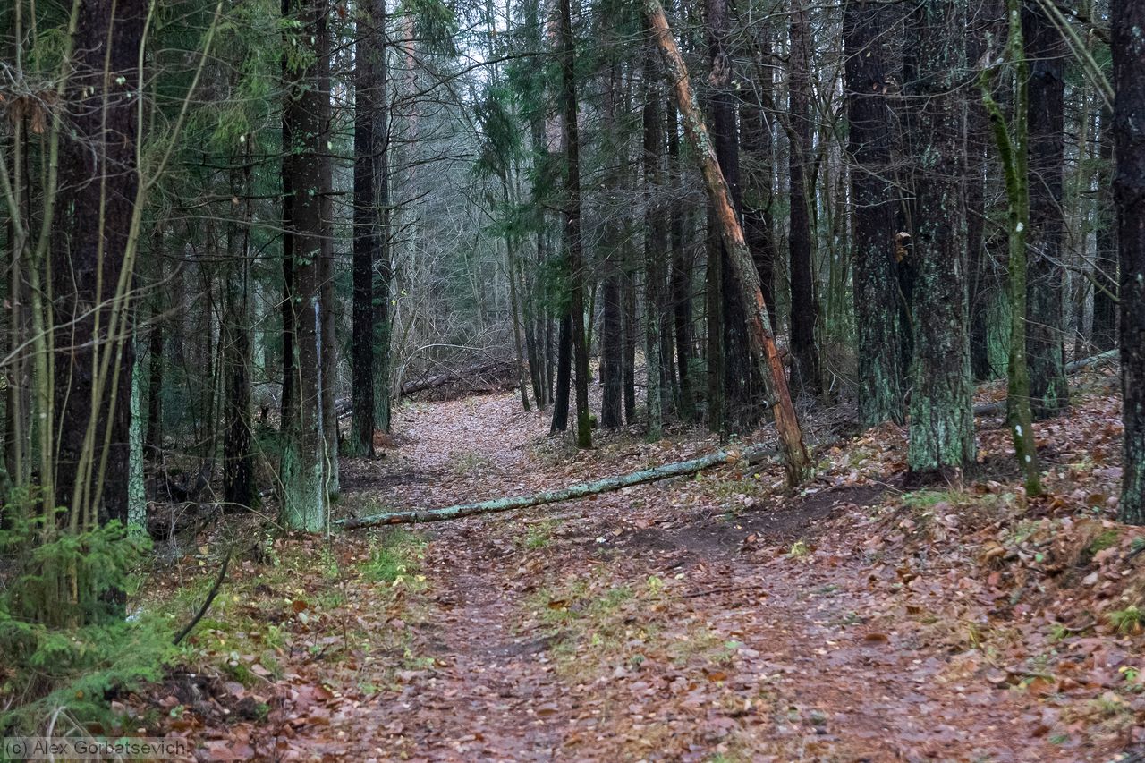 �������� � ����