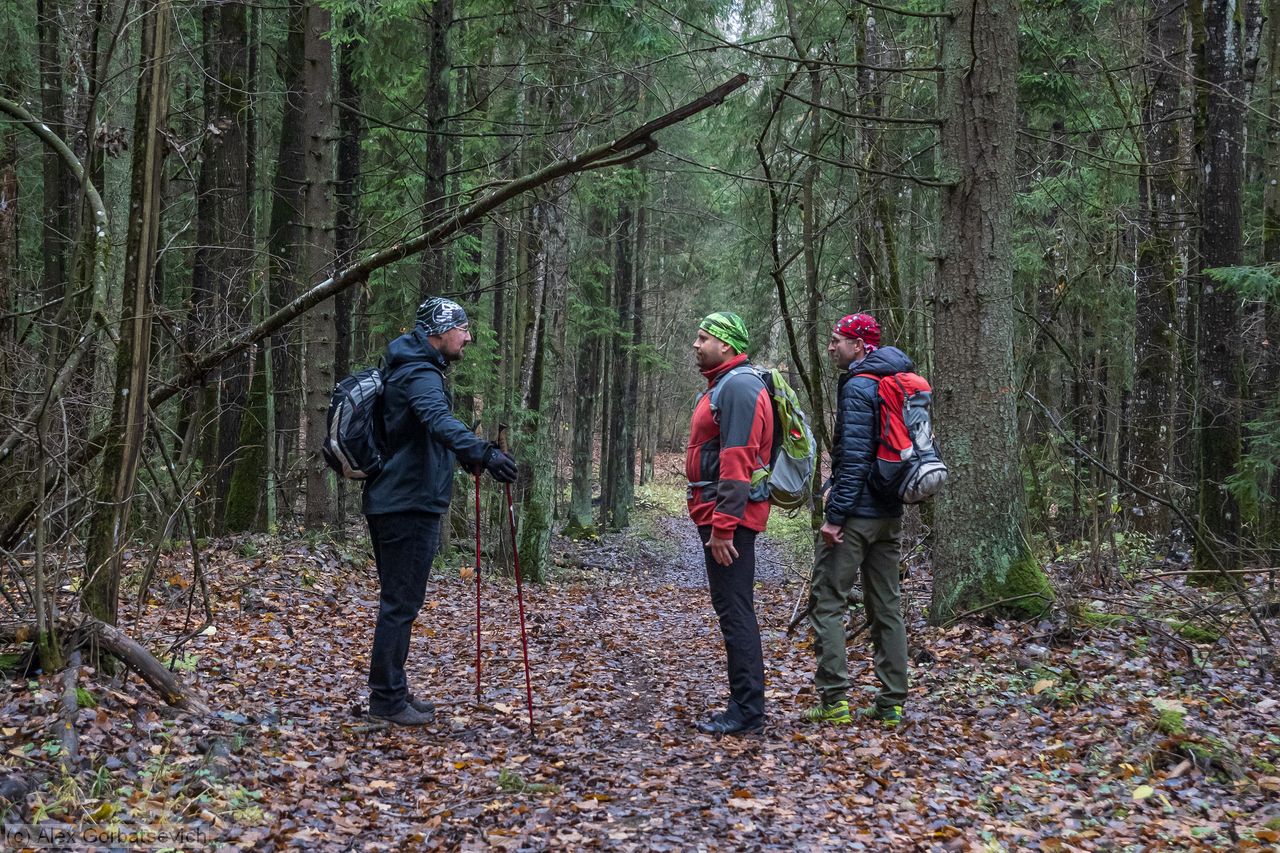 �������� ��� ��� �������