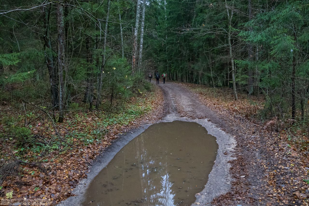 �� ������� ������