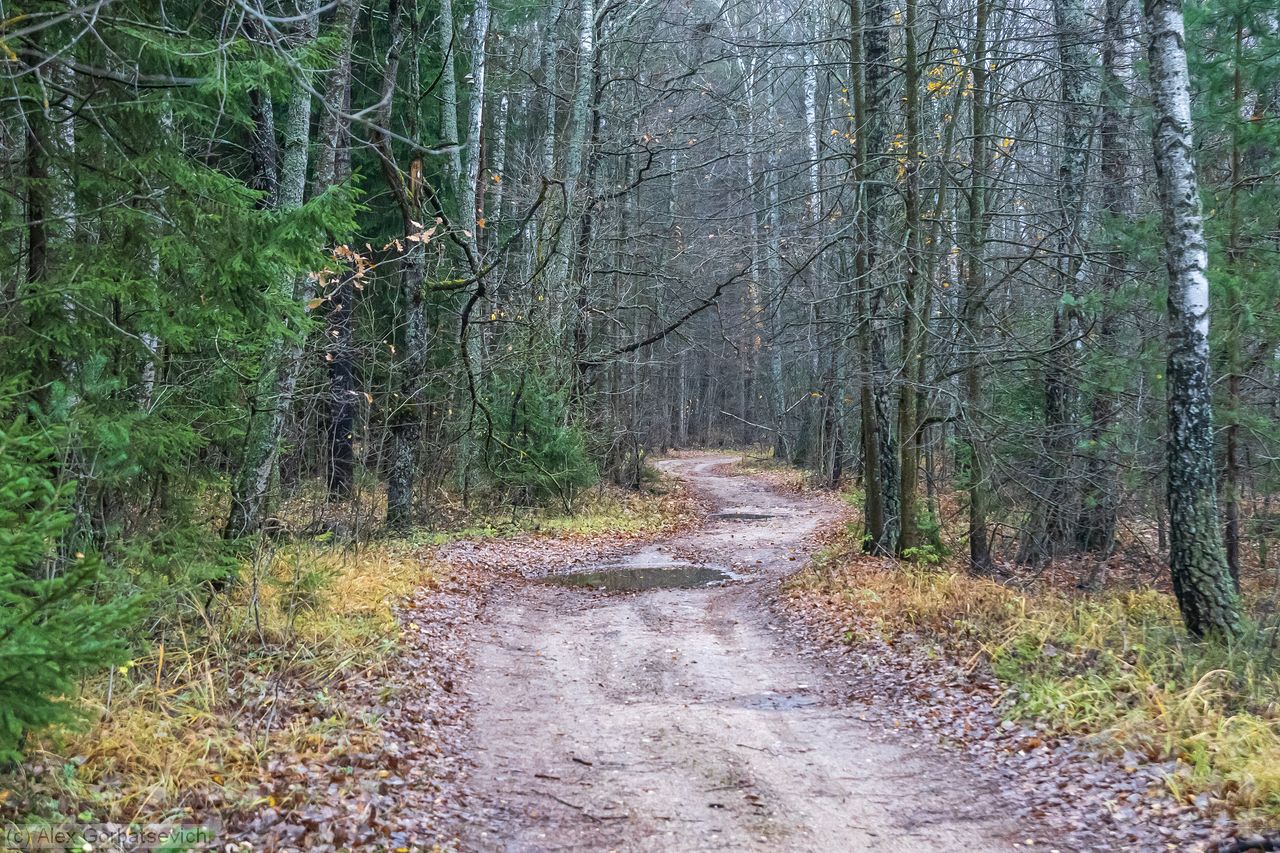 ������� ������