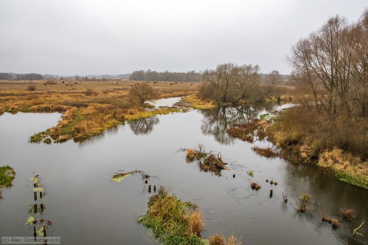 �. �����