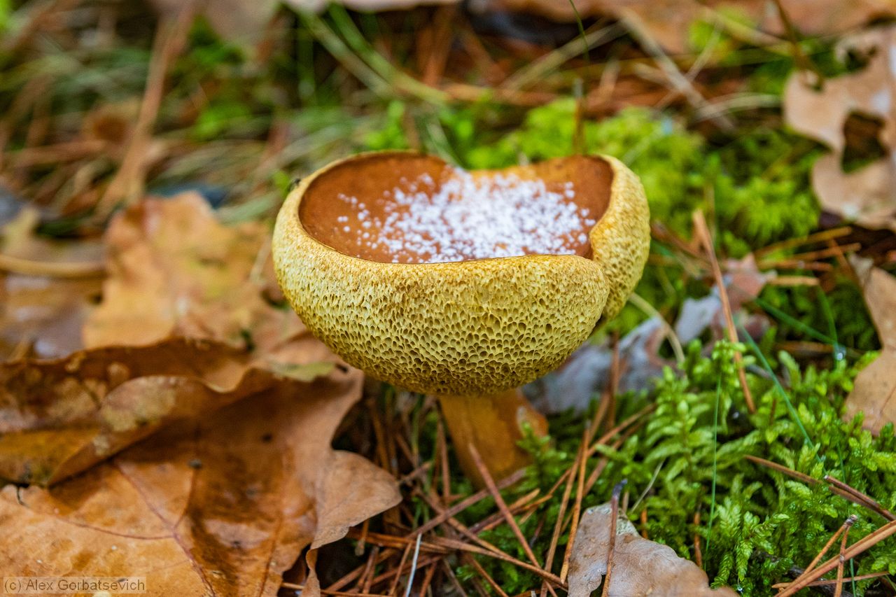 2-�-1 ����� � ������!