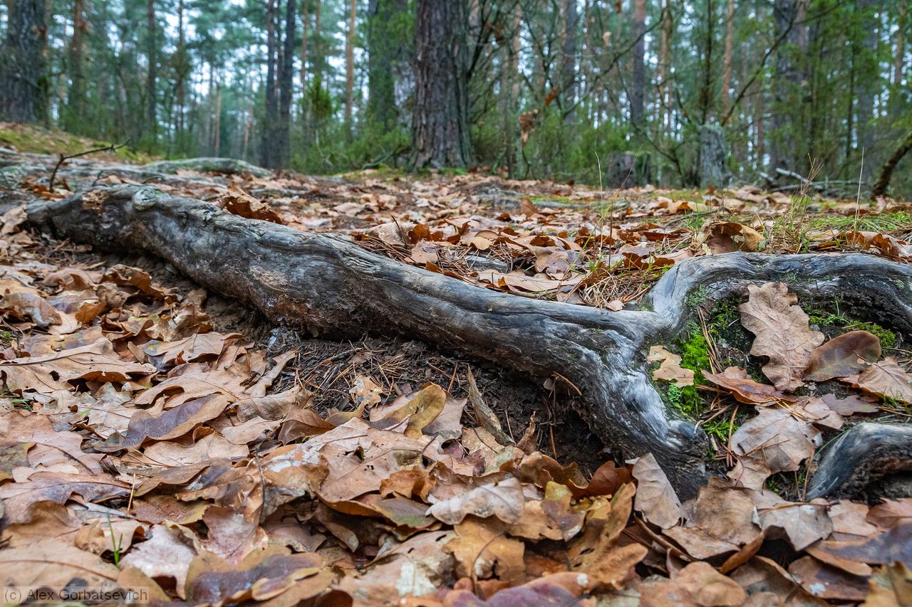 �������