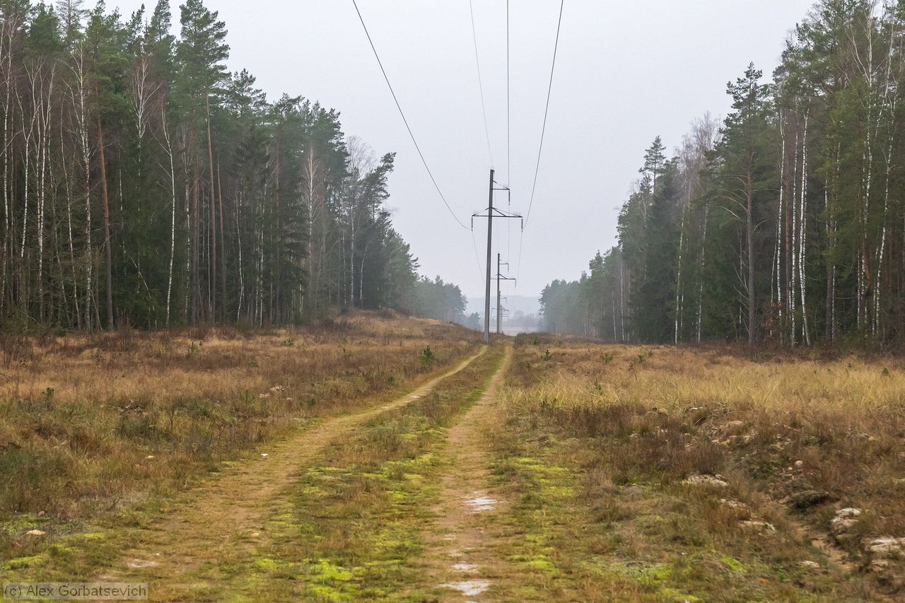 ���, ������ ��� ���