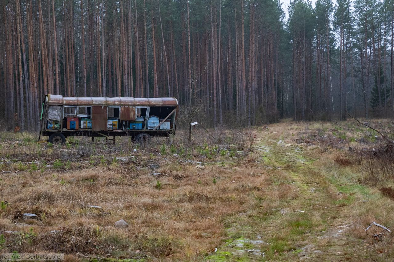 �������� �� �������