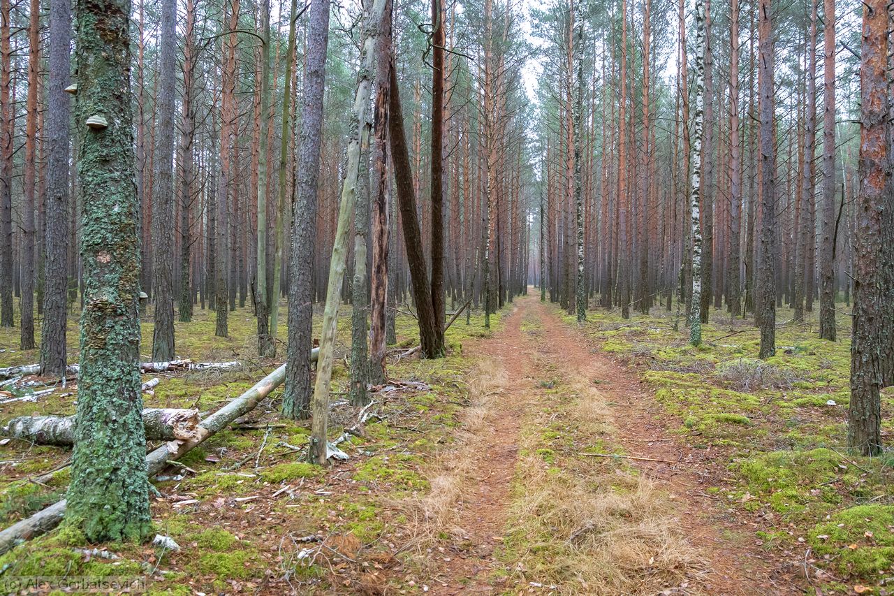 ������ � ����