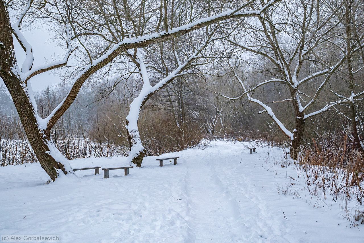 ����� ��� ������