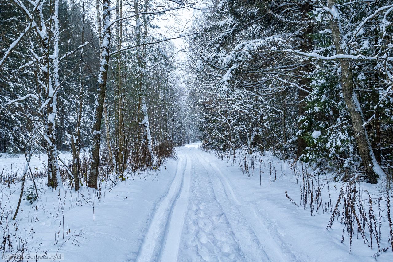 ������ � ����