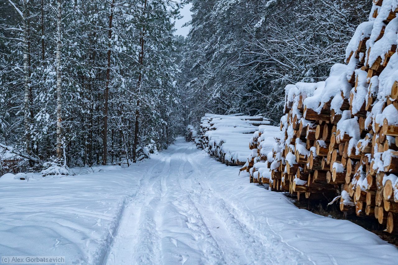 ����� ������