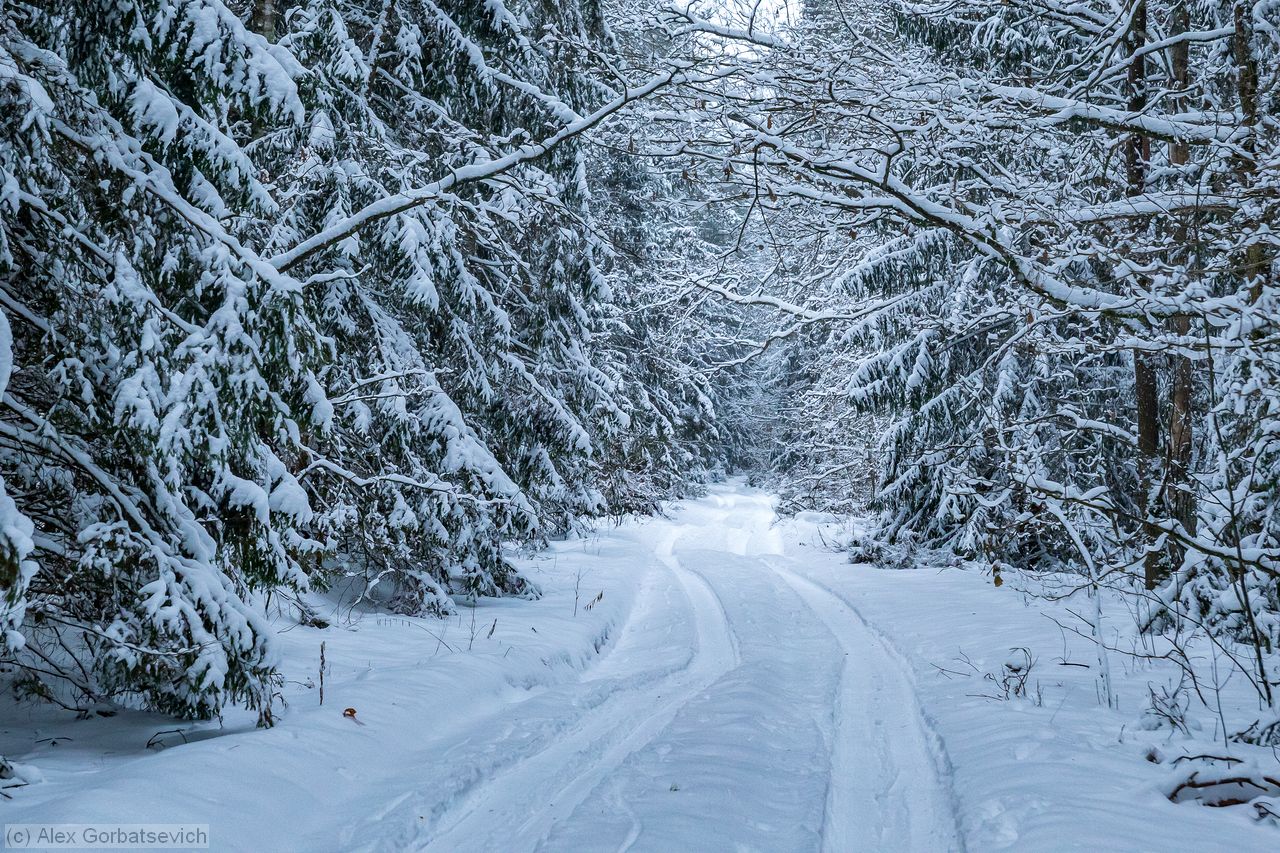 ������ � ����