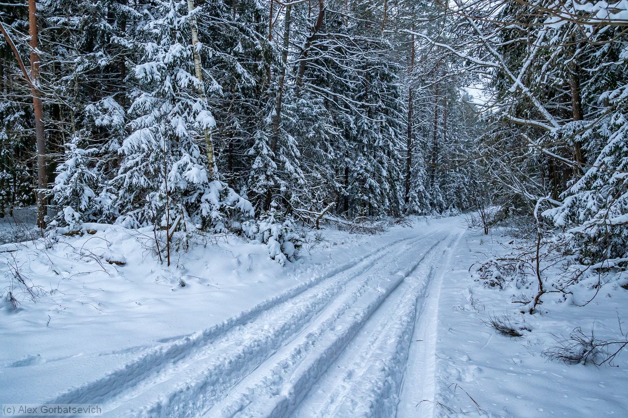 ������ � ����