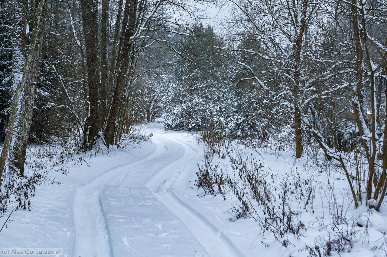 ������ � ����