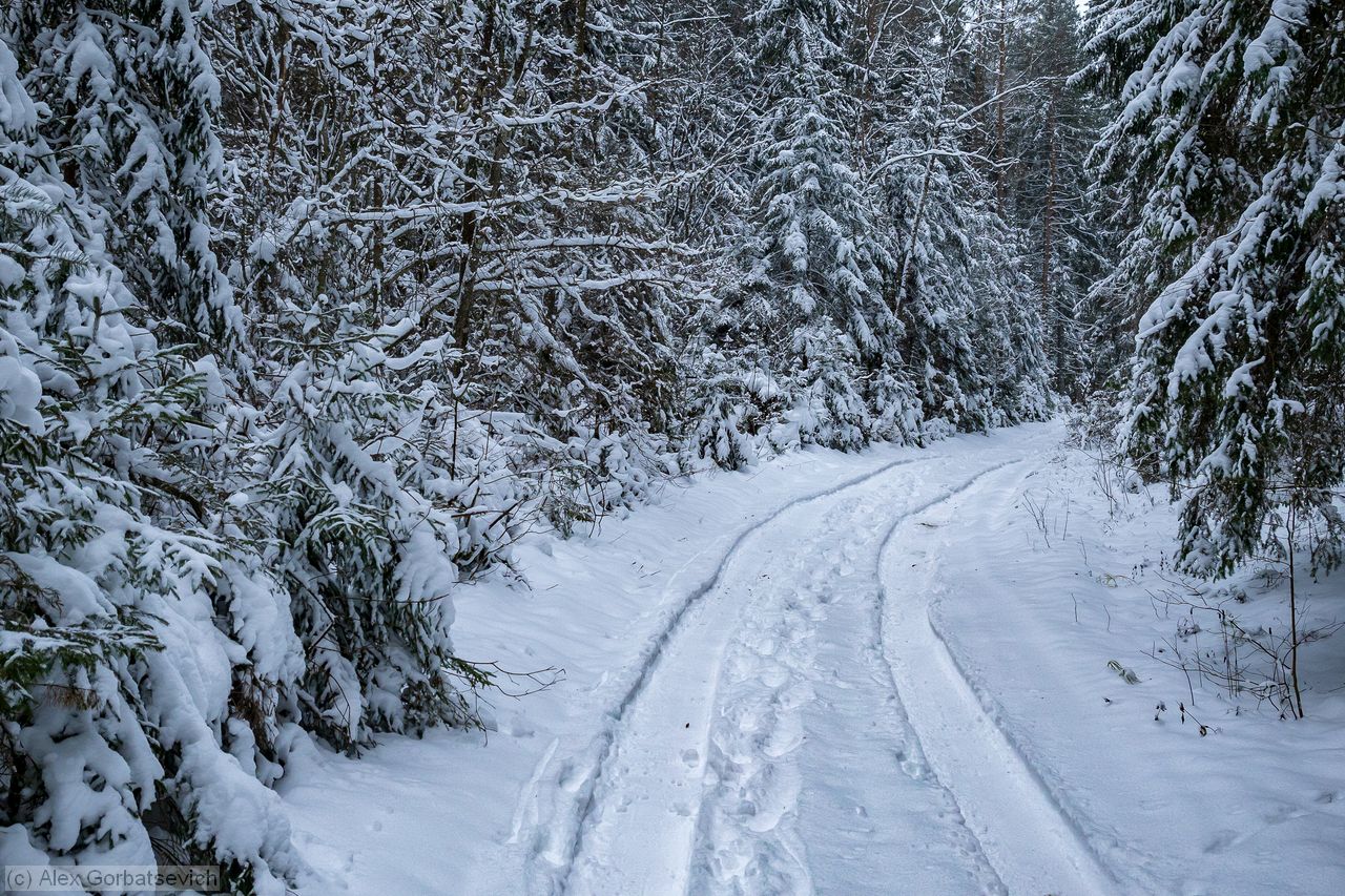 ������ � ����