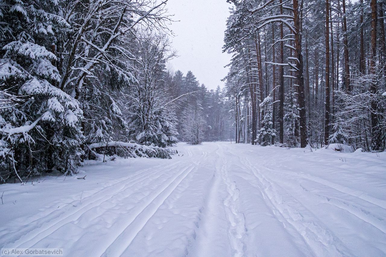 �� ������