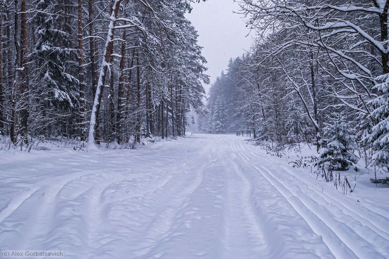 �� ����� ��������