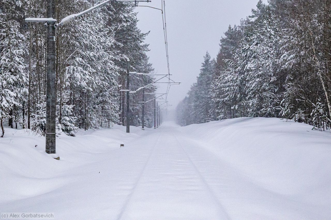 ��� ���-�� �������� ��