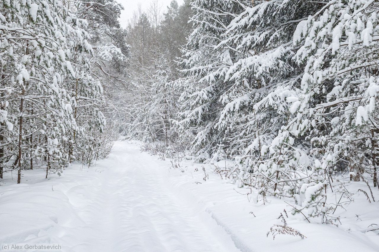 �� ������� ������������