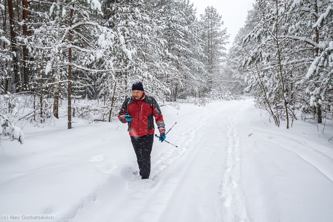 ���-�� ��� ������ ���� ���� ������ �����������