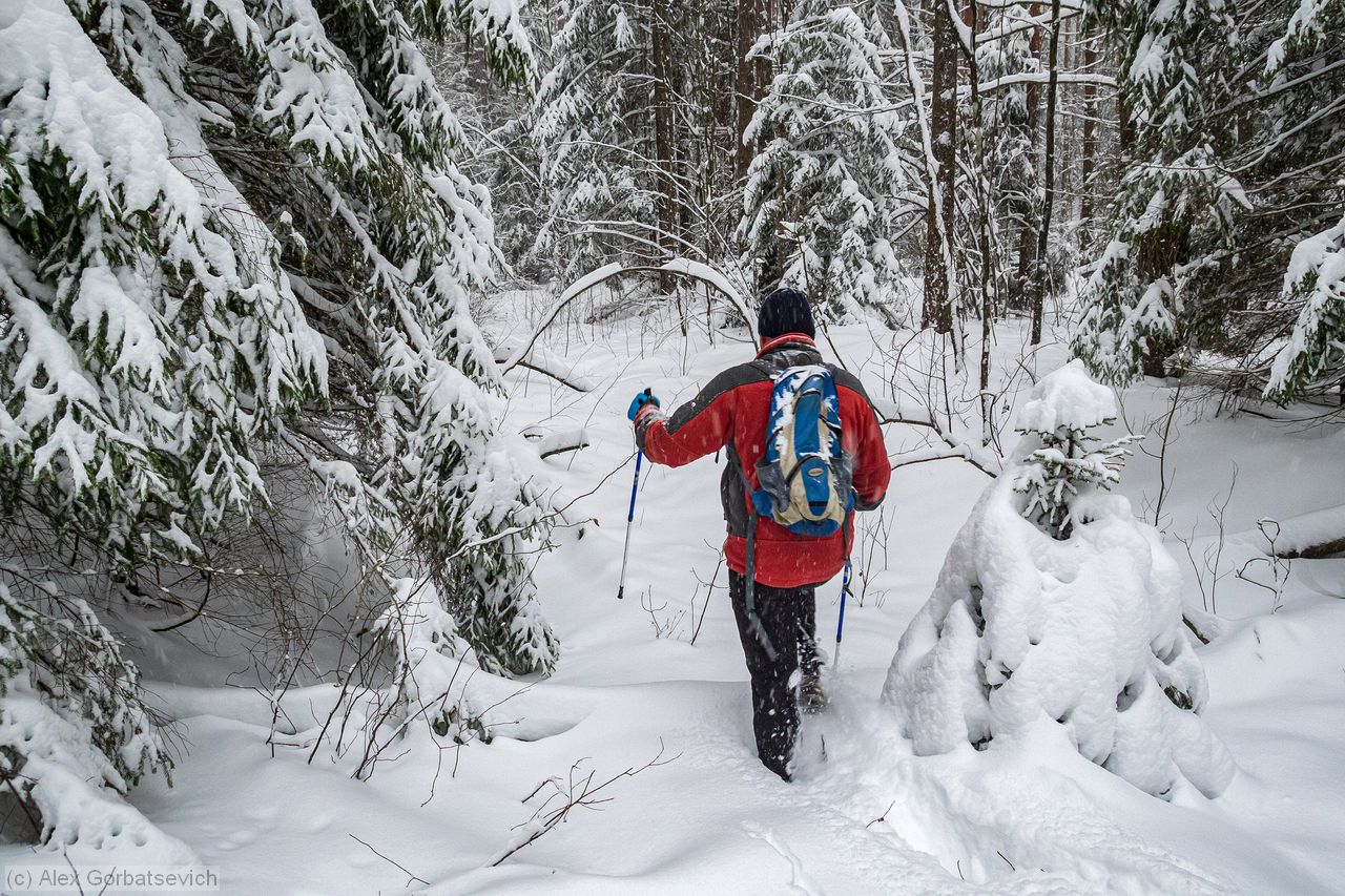 �����������! ��  ���?