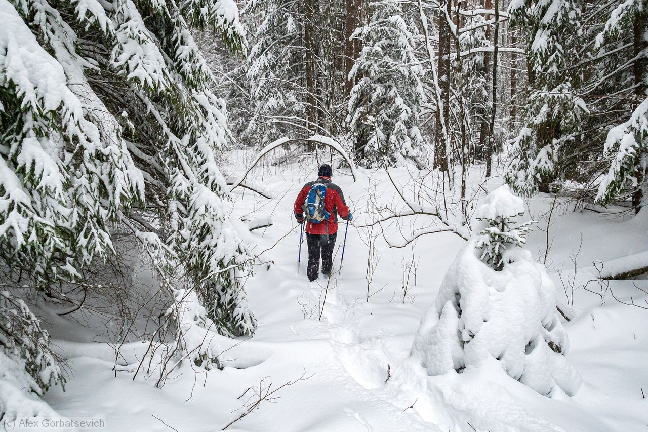 ����������� , ����. �� ������