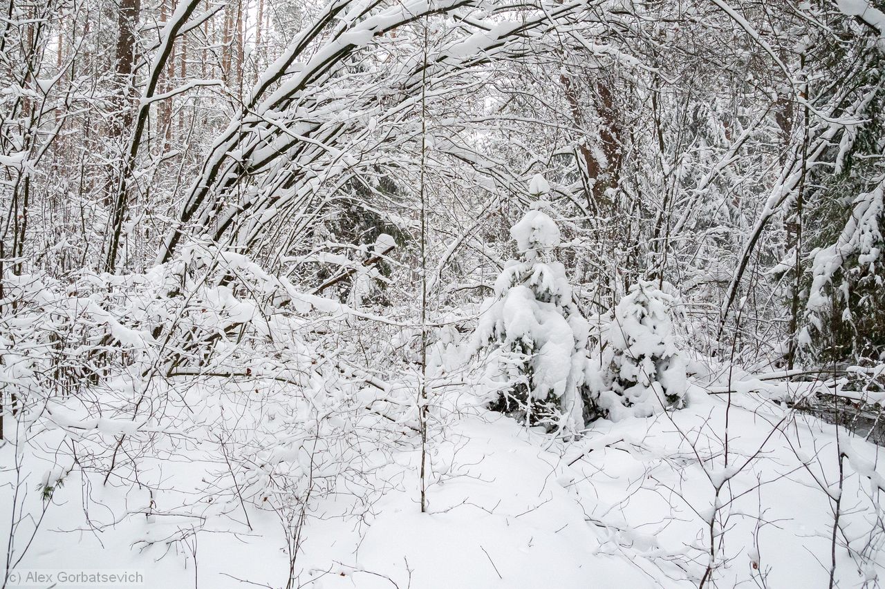 ������ ������ � �������������