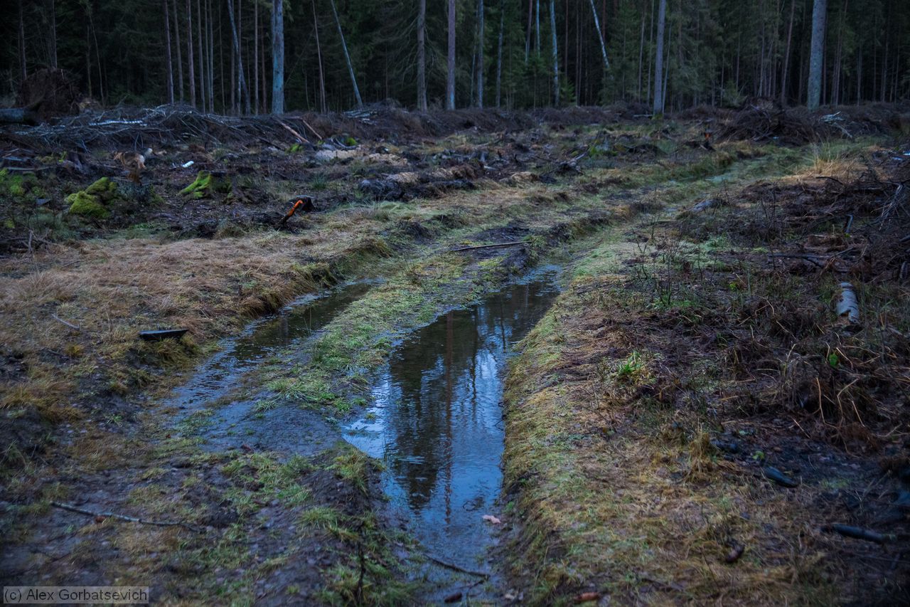 ��������� ����