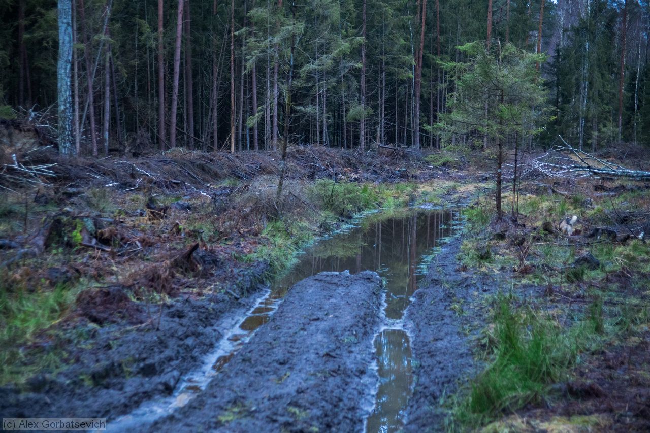 ��������� ����������