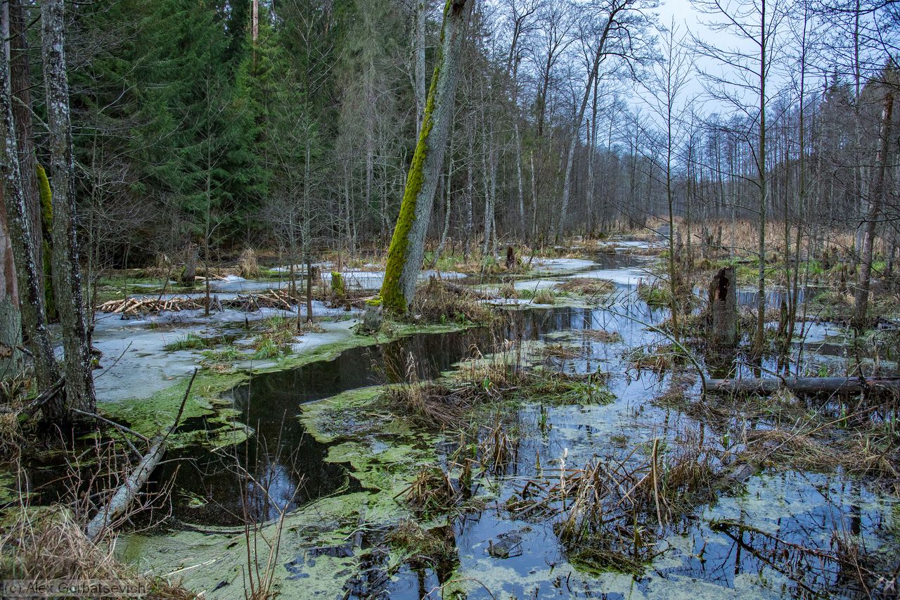 �������� ������