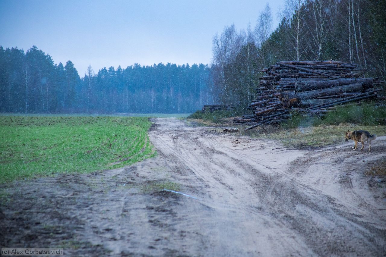 ������� ������