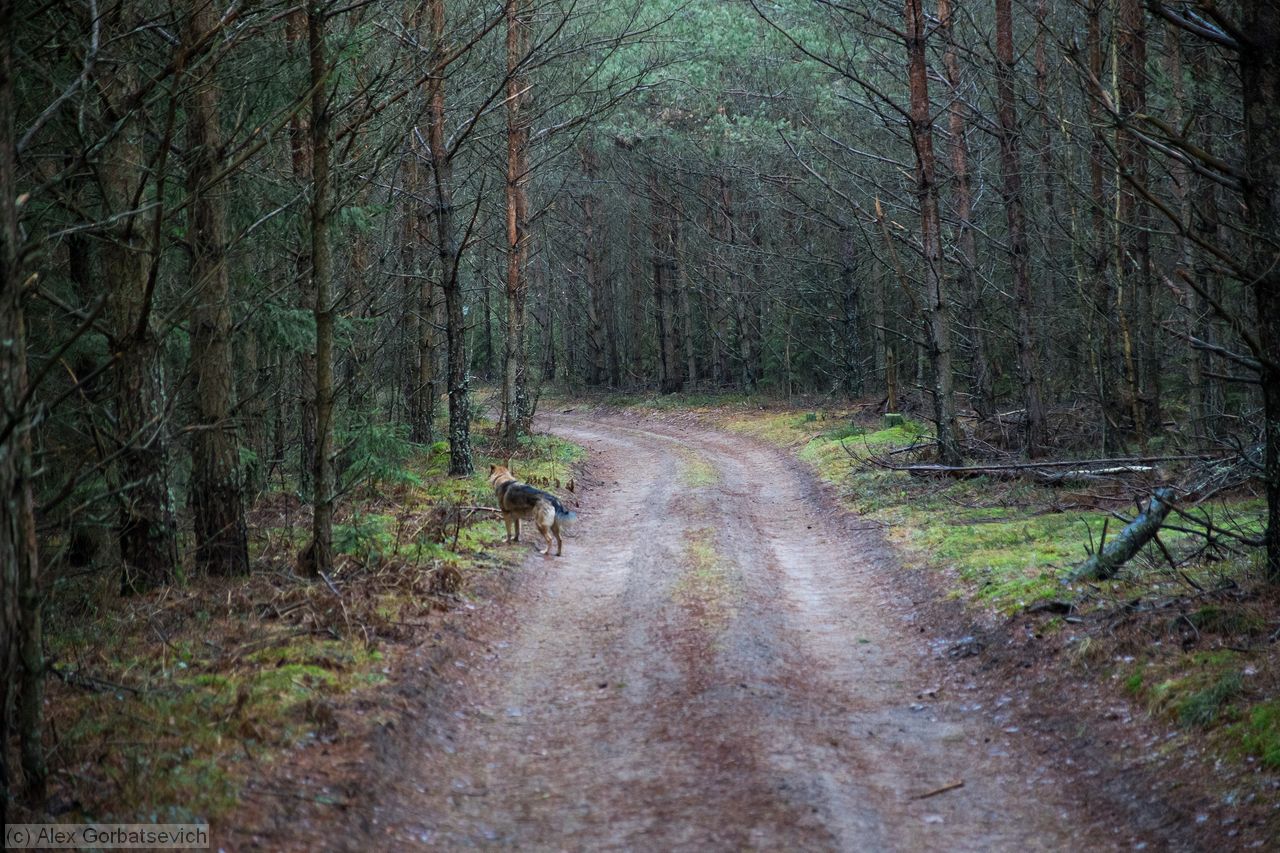 ������ � �������� ����