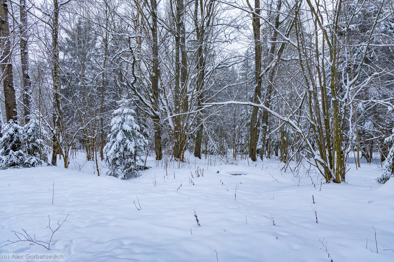 ������� ���