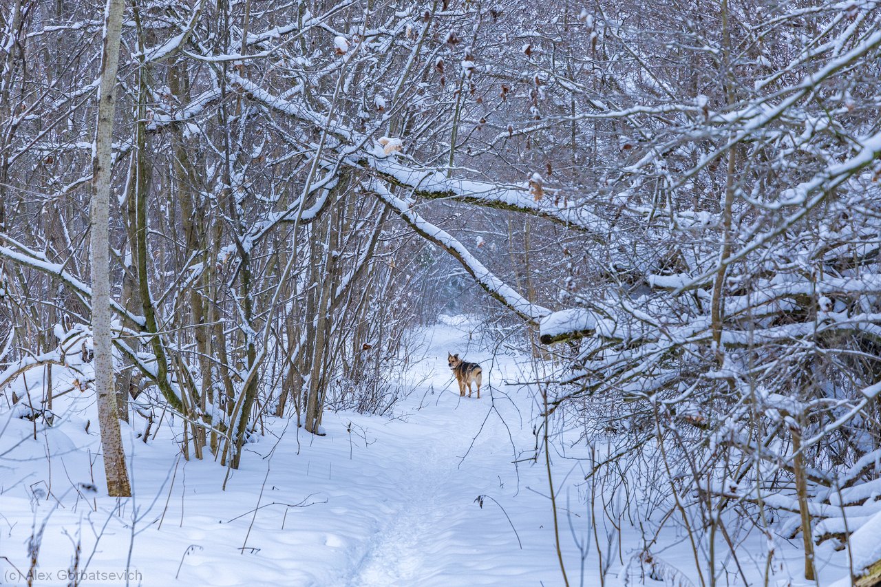 �� ��� �� ������. � �� ���� �������