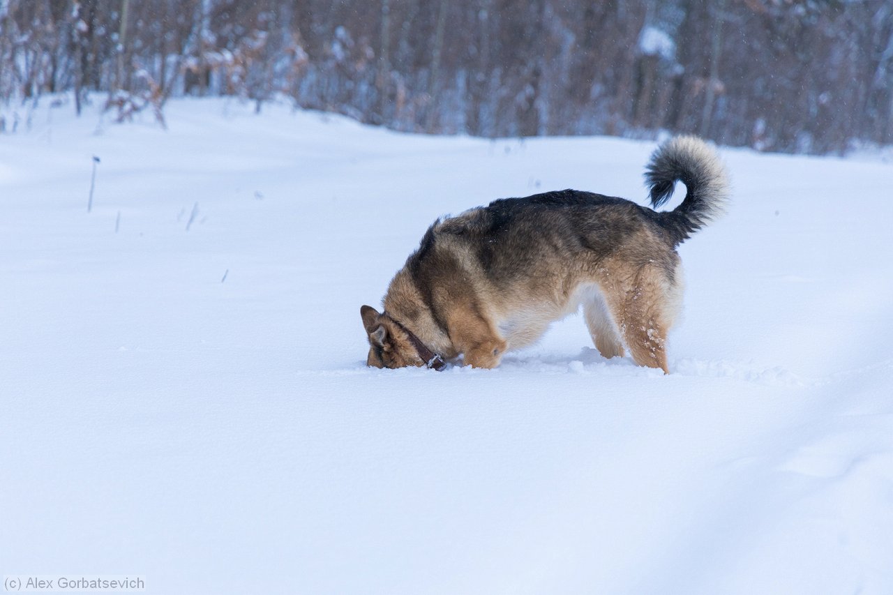 ������ �� ���??