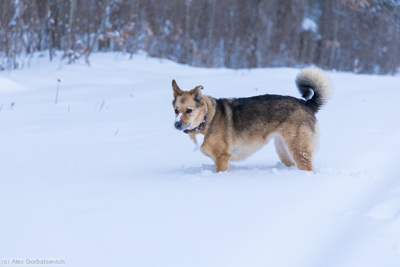 ���� �����..