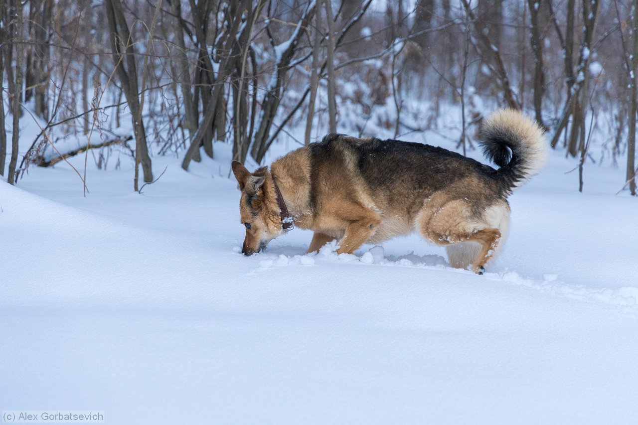 � ����� ���?