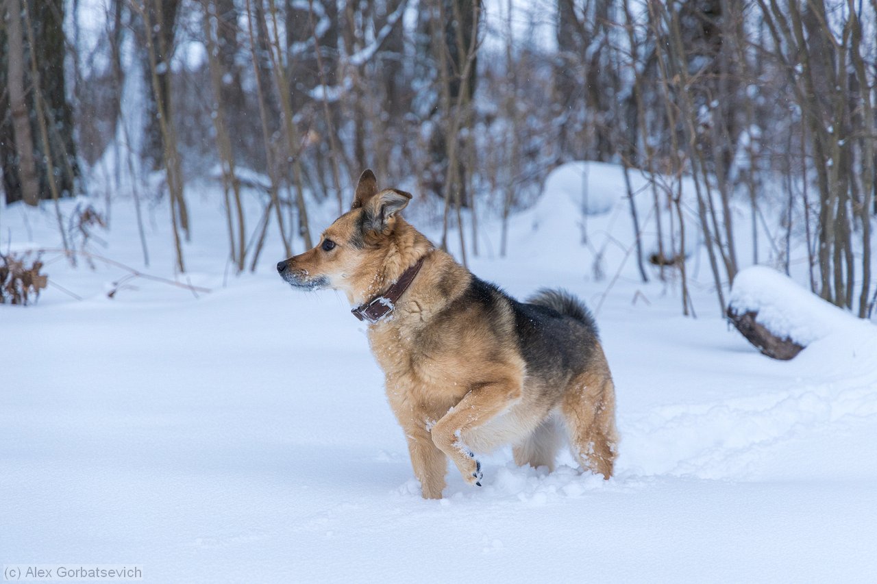 � ��� ��� �� ����� ��������?