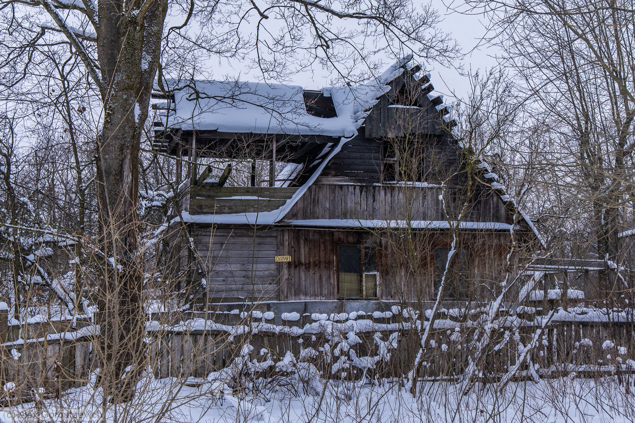 ����� � �������