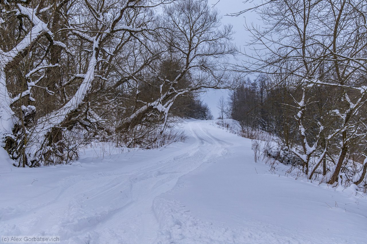 ������ � ������