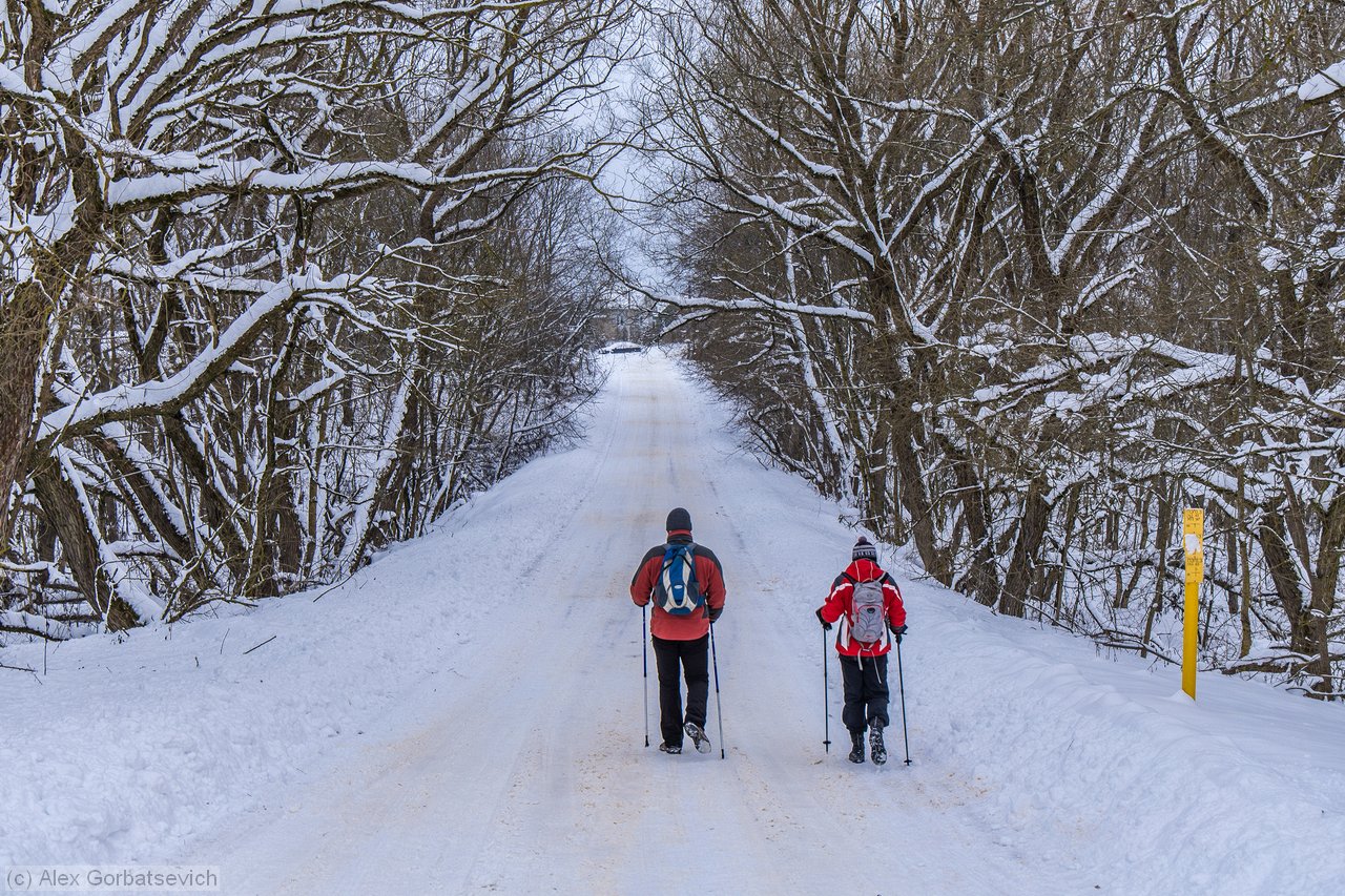 �� ��������